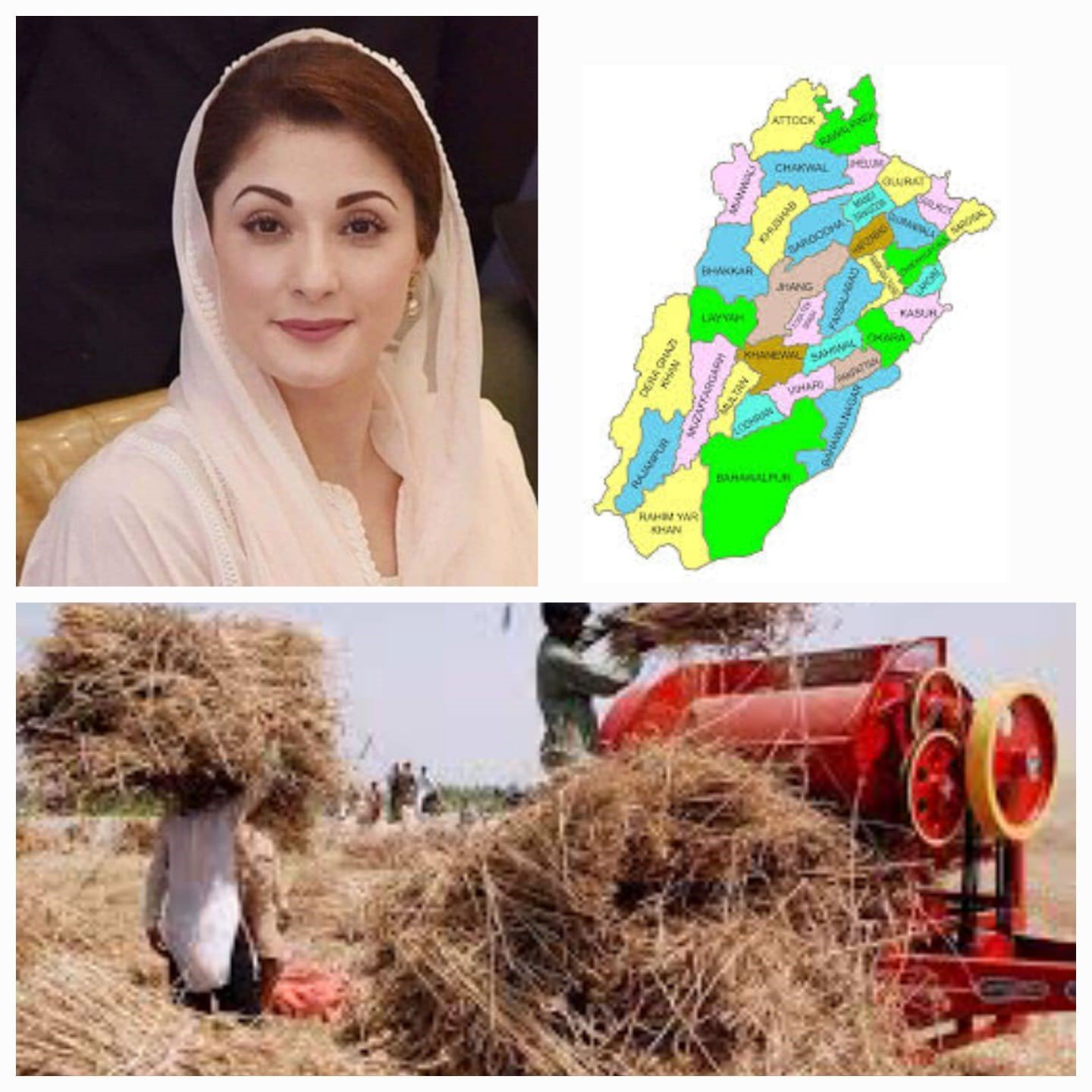Pak Punjab’s record package for wheat farmers across Pakistan, total package of 110 billion rupees for wheat farmers